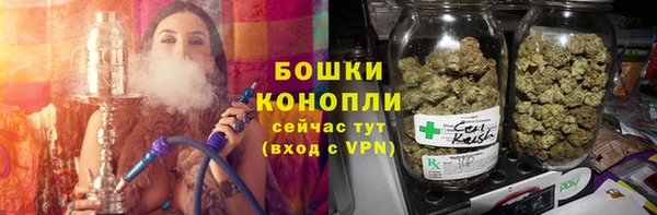 кокс Гусев