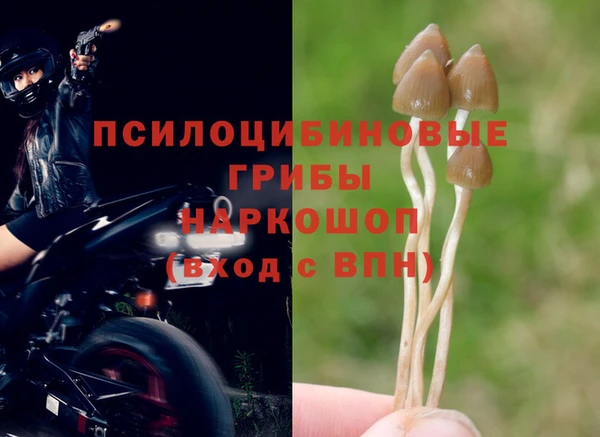 винт Снежинск