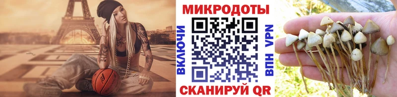 закладка  Биробиджан  OMG ссылка  Псилоцибиновые грибы Psilocybine cubensis 
