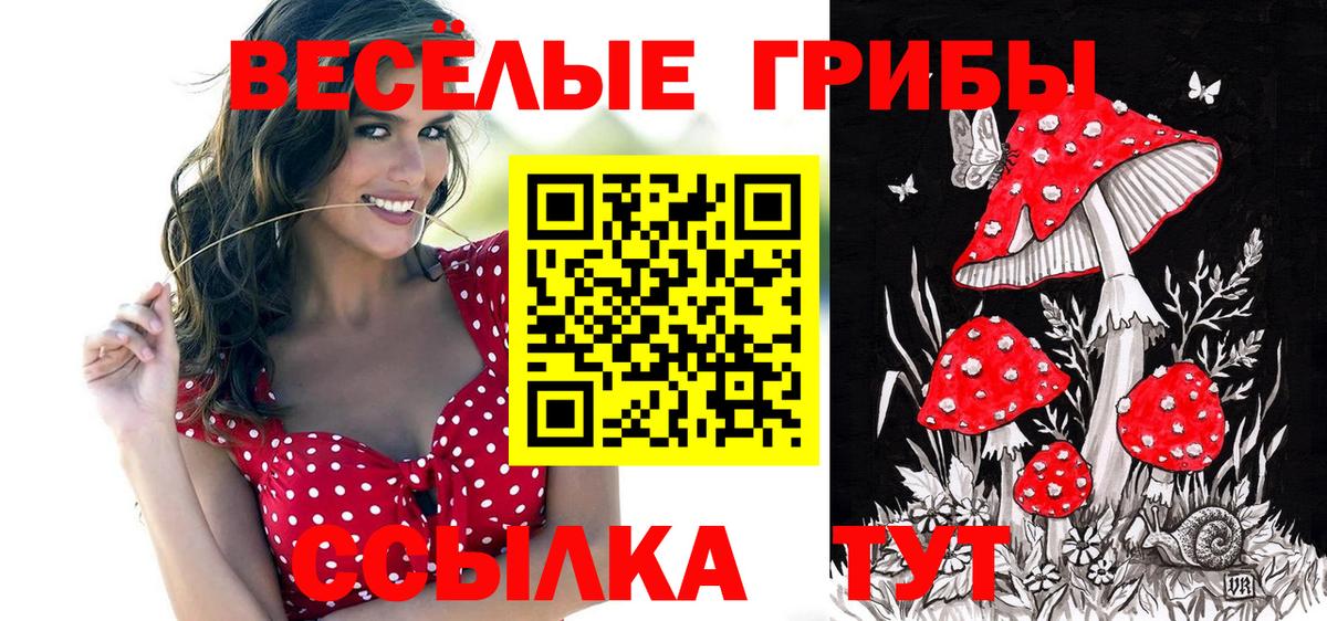Галлюциногенные грибы MAGIC MUSHROOMS Биробиджан