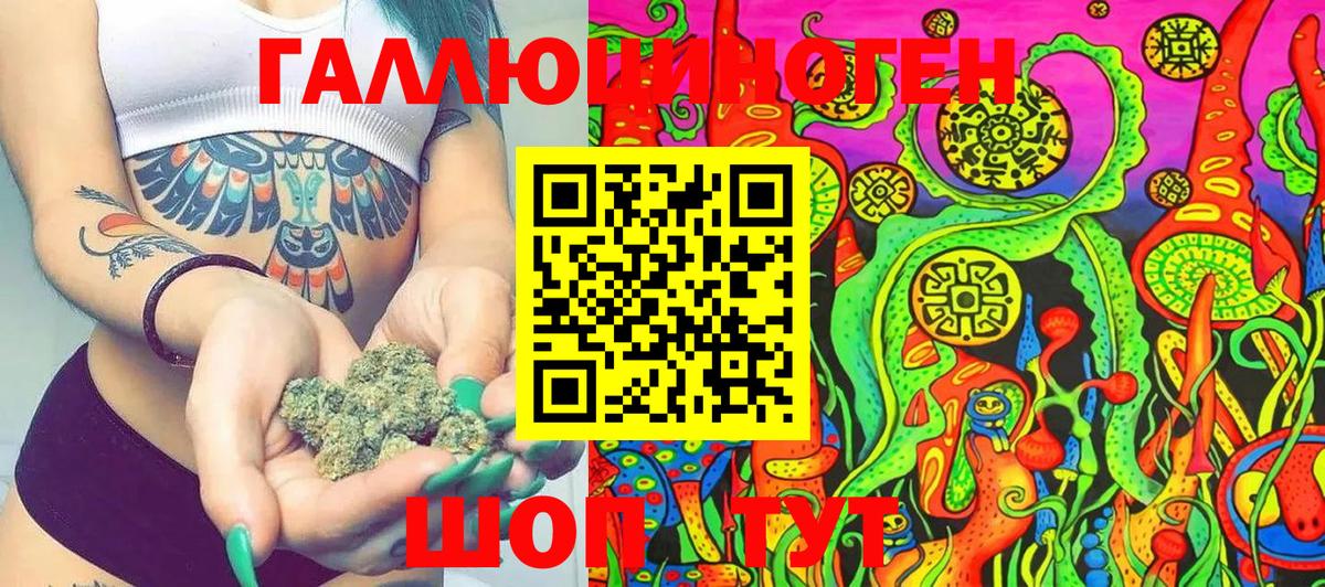 Биробиджан  Галлюциногенные грибы Psilocybe  Вход с VPN 